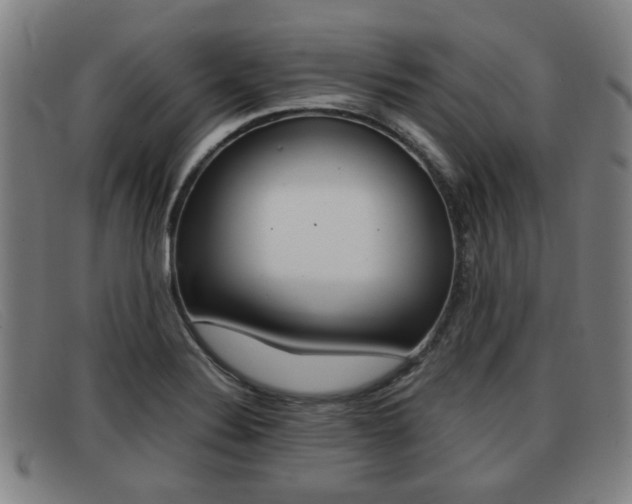 X0000092061324200709120958