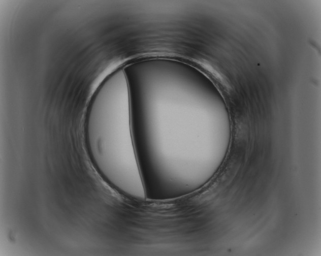 X0000092061325200709120958
