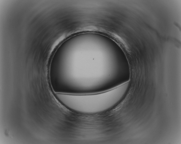 X0000092061326200709120958