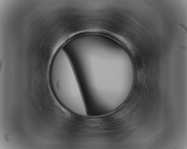 X0000092061327200709120958