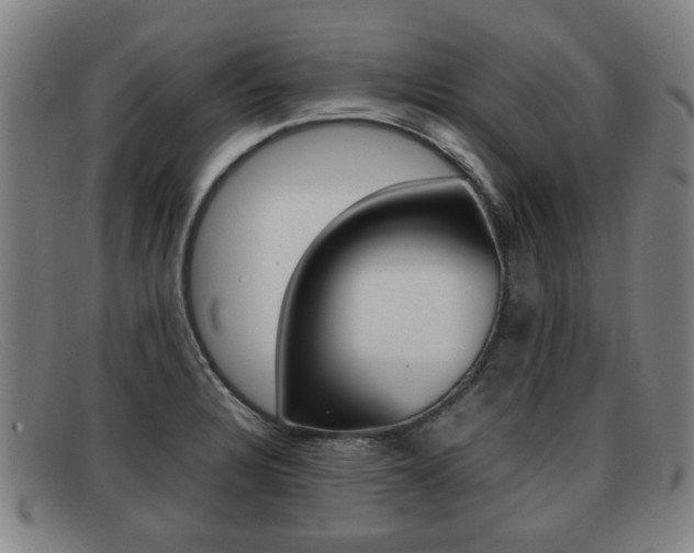 X0000092061328200709120958