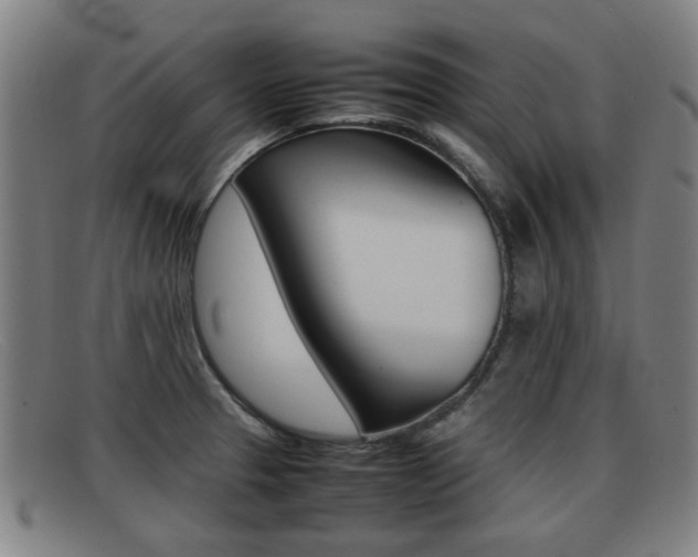 X0000092061329200709120958
