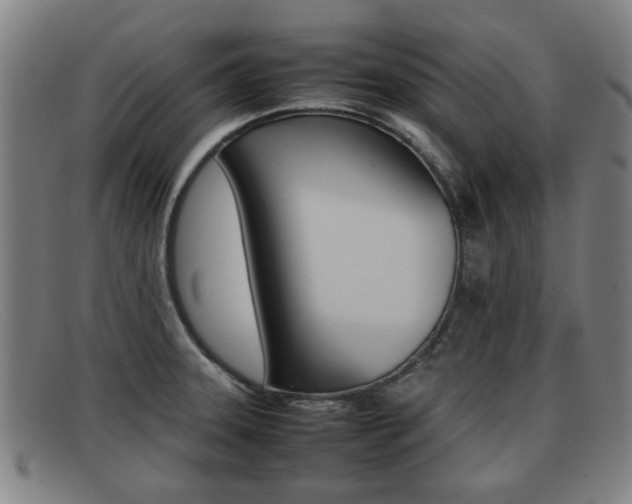 X0000092061331200709120958