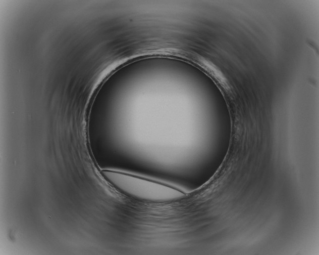 X0000092061332200709120958