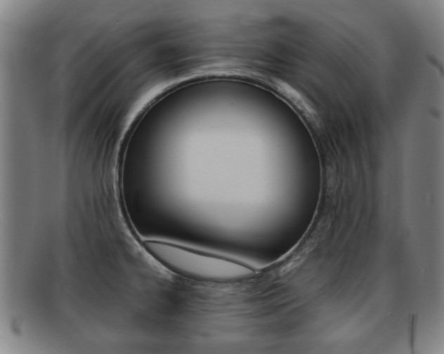 X0000092061334200709120958