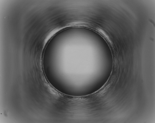 X0000092061336200709120958