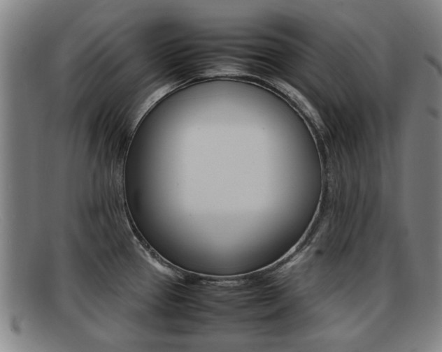 X0000092061337200709120958