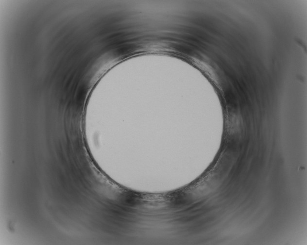 X0000092061338200709120958