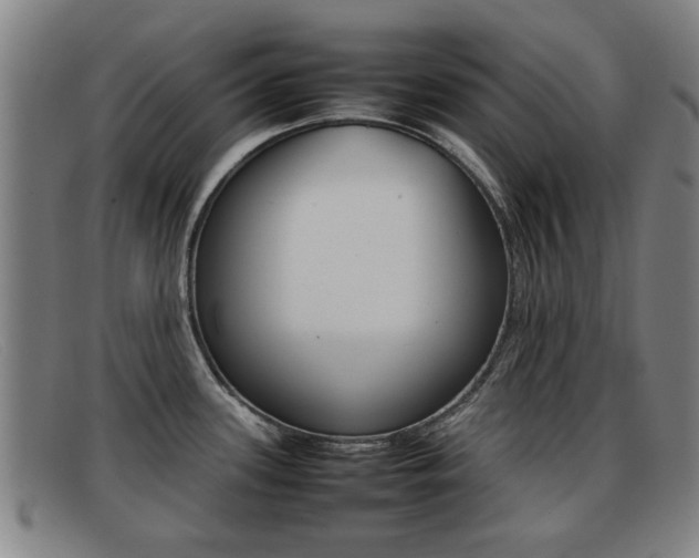X0000092061339200709120958