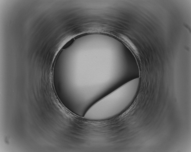 X0000092061340200709120958