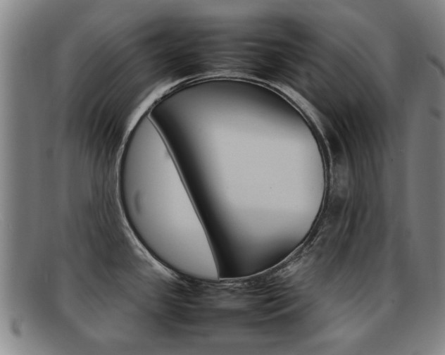 X0000092061341200709120958