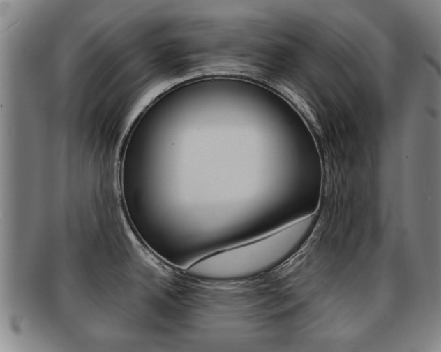 X0000092061342200709120958