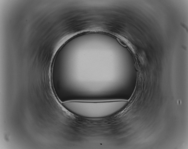 X0000092061343200709120958