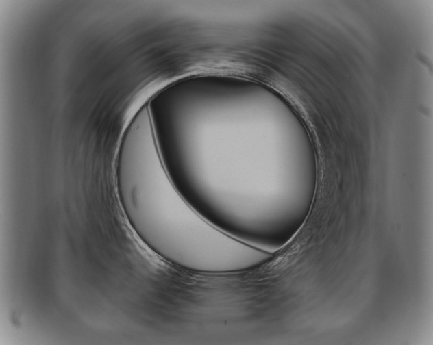 X0000092061344200709120958