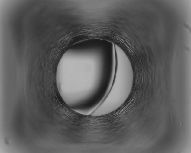 X0000092061345200709120957