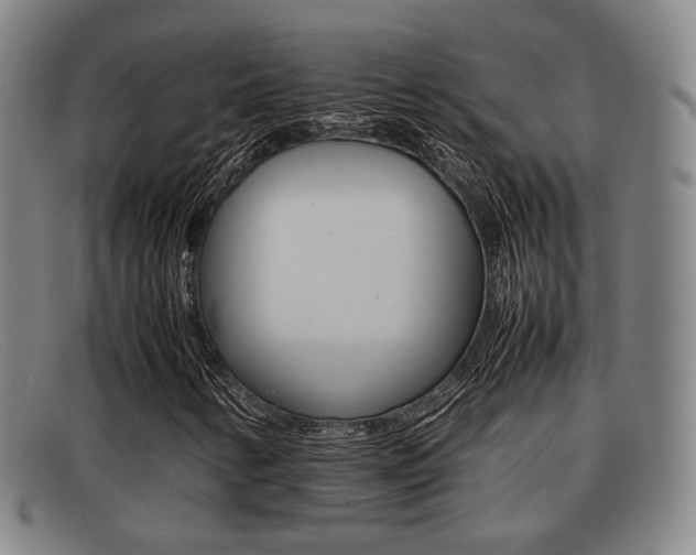 X0000092061346200709120957