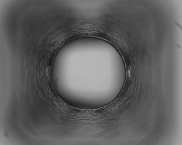 X0000092061347200709120957