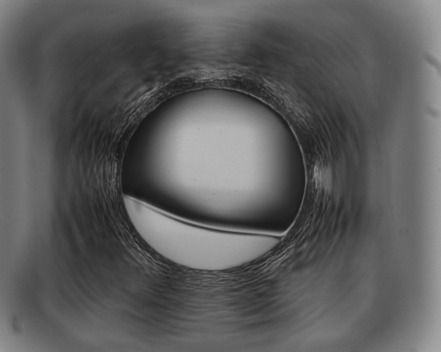 X0000092061348200709120957
