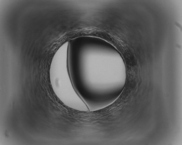 X0000092061349200709120957