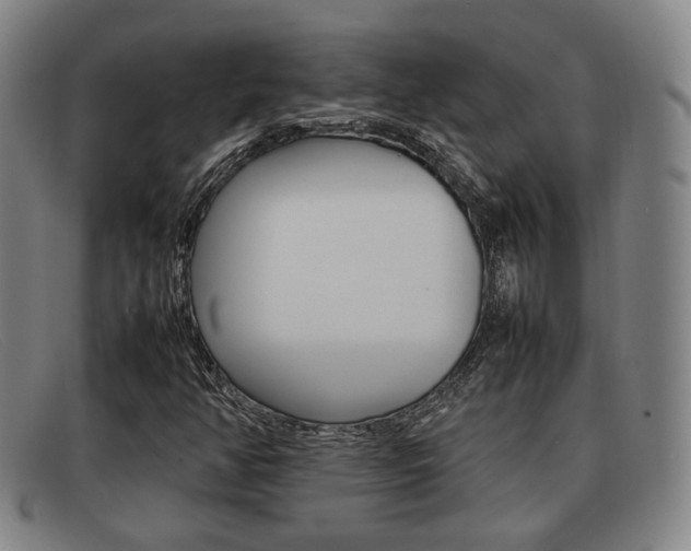 X0000092061350200709120957