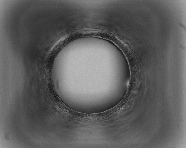 X0000092061351200709120957