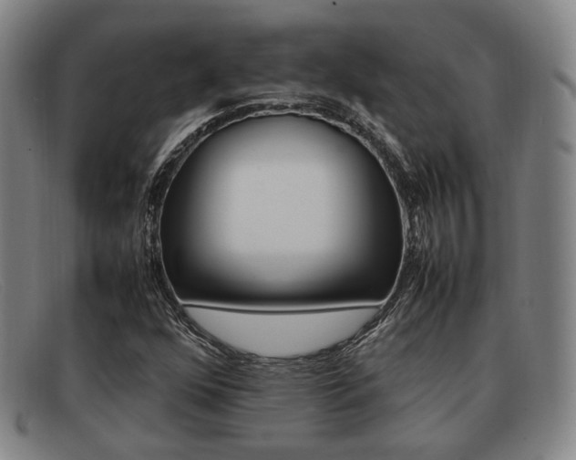 X0000092061352200709120957