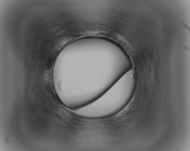 X0000092061353200709120957