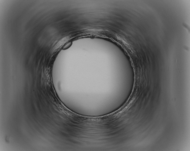 X0000092061354200709120957