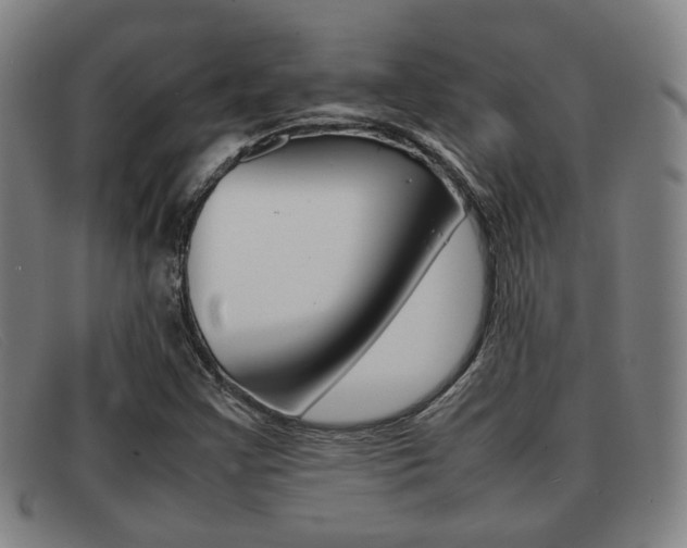 X0000092061355200709120957