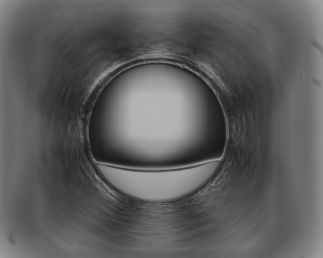 X0000092061356200709120957