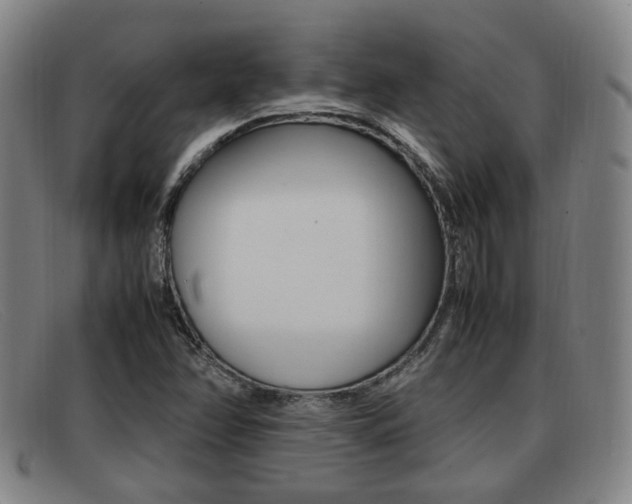X0000092061358200709120957