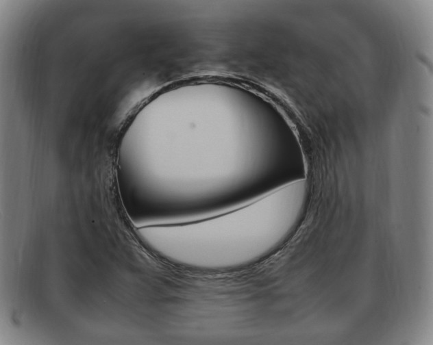 X0000092061359200709120957