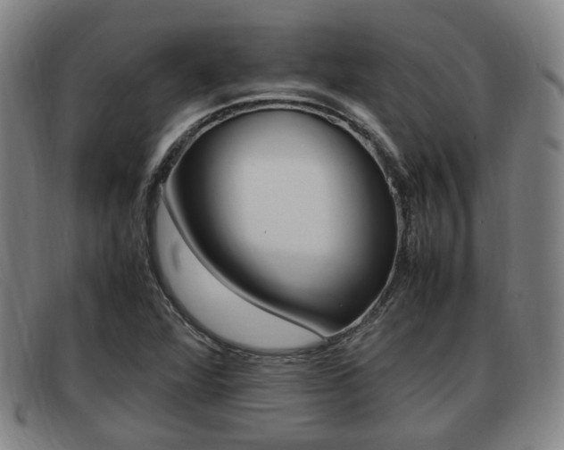 X0000092061360200709120957