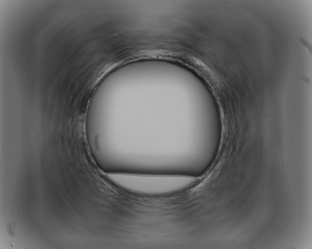 X0000092061361200709120957
