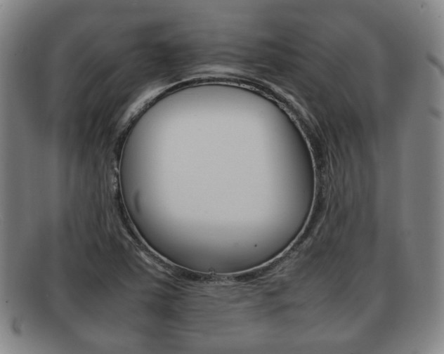 X0000092061363200709120957