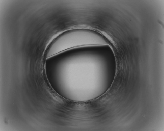 X0000092061364200709120957