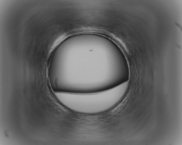 X0000092061365200709120957