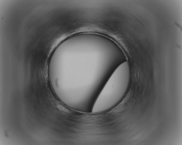 X0000092061366200709120957