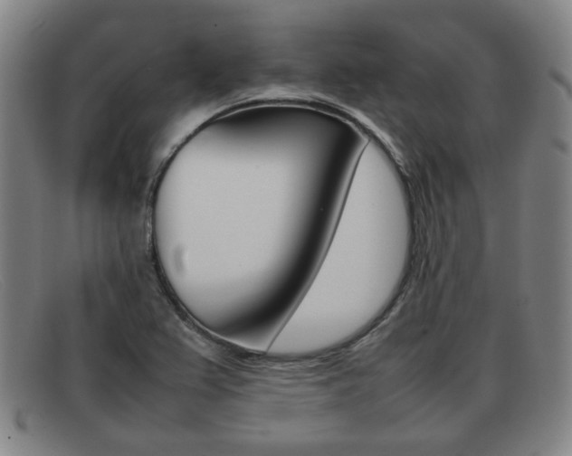 X0000092061367200709120957