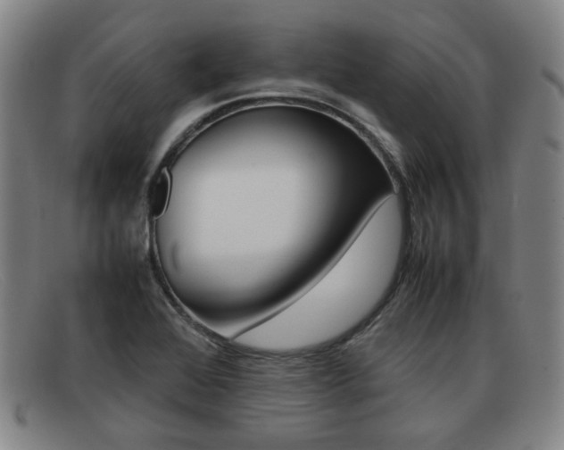 X0000092061368200709120957