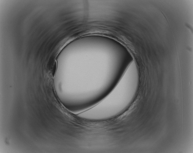 X0000092061369200709120957