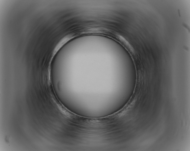 X0000092061370200709120957