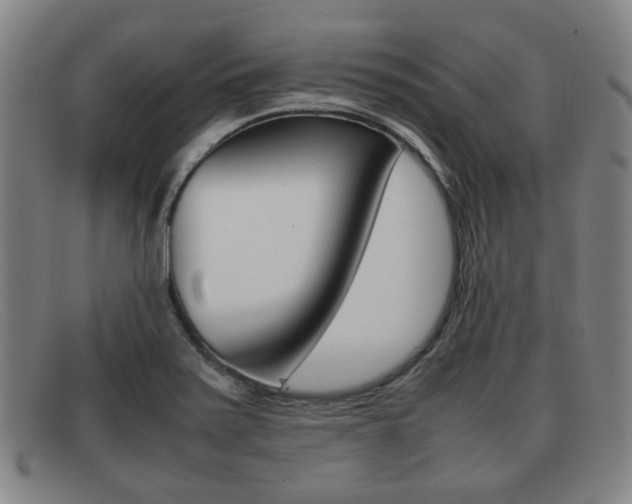 X0000092061371200709120957