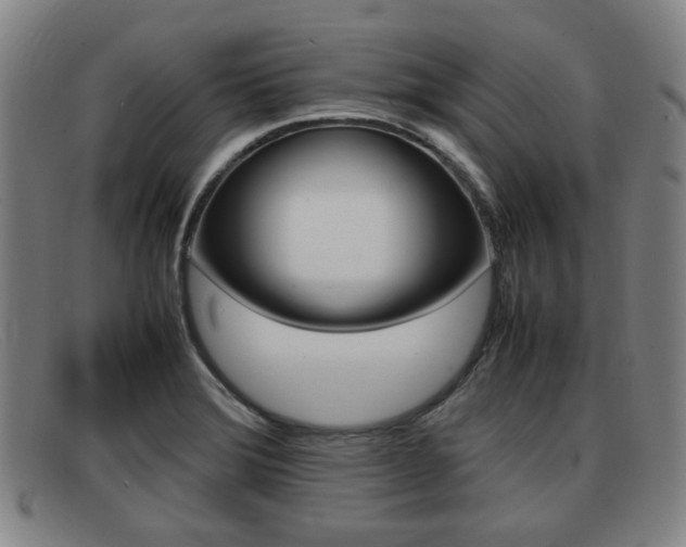 X0000092061372200709120957
