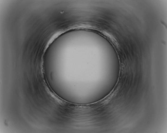 X0000092061374200709120957