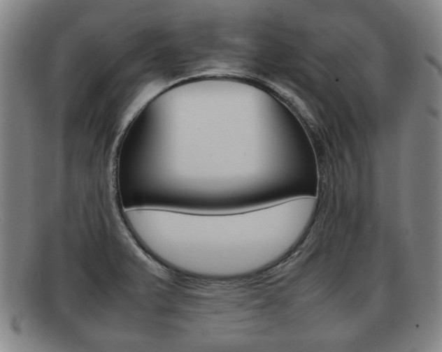 X0000092061375200709120957
