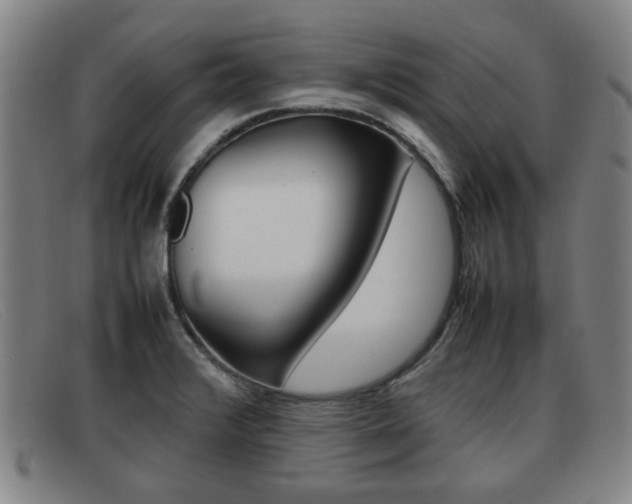 X0000092061376200709120957