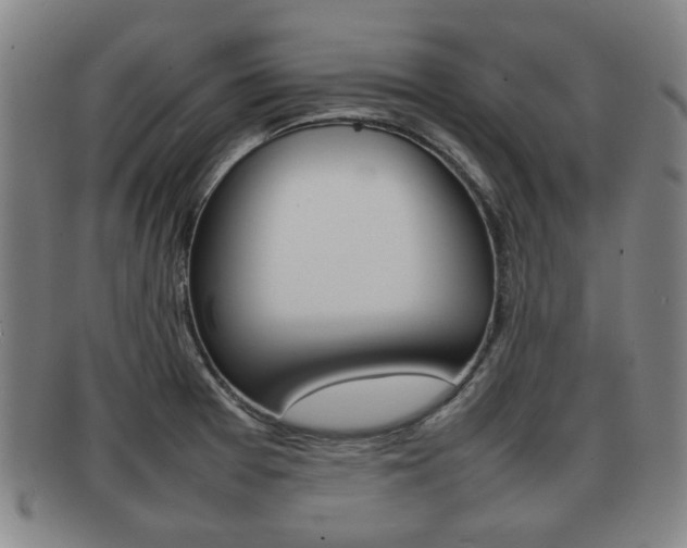 X0000092061377200709120957