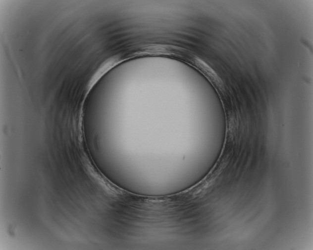X0000092061378200709120957