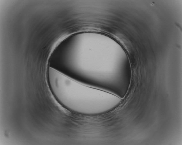X0000092061379200709120957